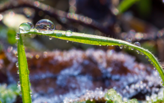 spring thaw plumbing tips